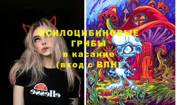 синтетический гашиш Няндома