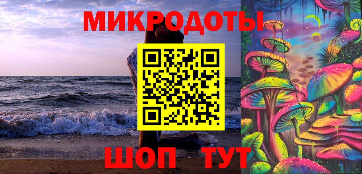 Псилоцибиновые грибы Cubensis Полевской