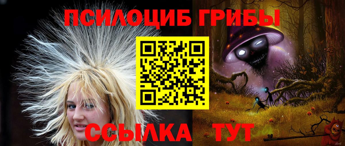 Галлюциногенные грибы MAGIC MUSHROOMS Полевской